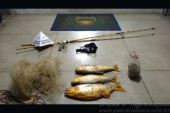 PMA apreende pescado e multa homem em mais de 7Mil por pesca ilegal em MG