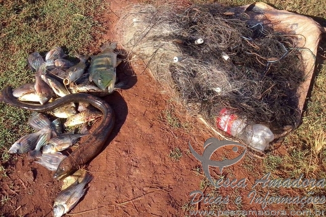 PMA apreende pescado e autua 11 pessoas próximo a Hidrelétrica de Marimbondo em SP
