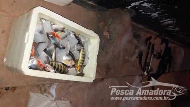 PMA apreende pescado e petrechos de pesca ilegal em Goianésia (GO)