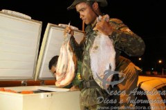 PMA apreende pescado fora da medida em fiscalizacao no MT