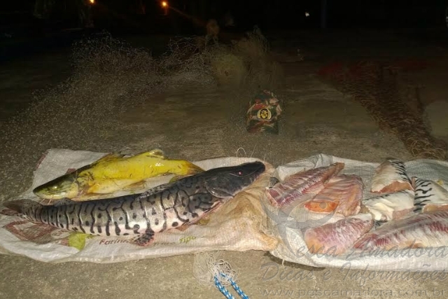 PMA apreende pescado e redes de pesca no Rio Aquidauana-MS