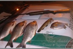 PMA apreende pescado ilegal e redes no Rio Corumbatai-PR 2