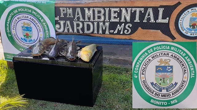 PMA apreende pescado ilegal em acampamento no Rio Miranda em Nioaque (MS)