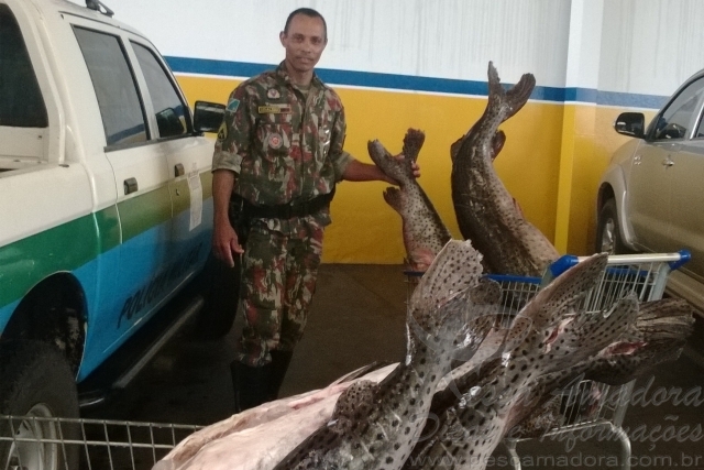 PMA apreende 128kg de pescado e autua infrator em mais de 7 Mil Reais no MS