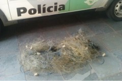 PMA apreende rede de pesca irregular no Rio Parana em SP