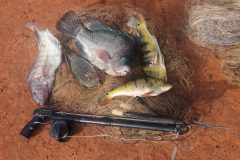 pma-apreende-redes-arbalete-e-pescado-ilegal-durante-fiscalizacao-no-rio-verdinho-go