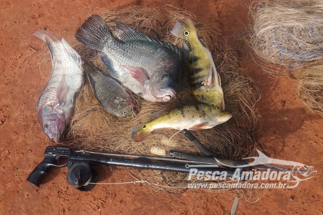 PMA apreende redes, arbalete e pescado ilegal durante fiscalização no Rio Verdinho-GO