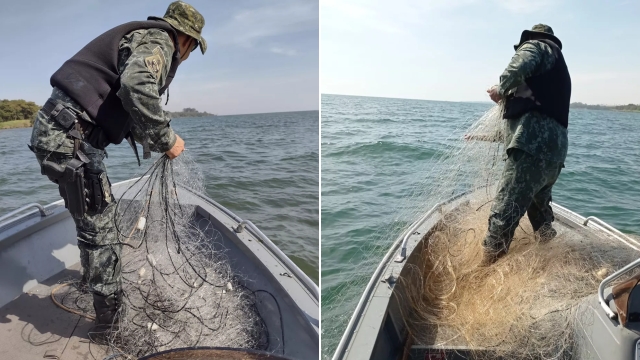 PMA apreende redes de pesca armadas irregularmente no Rio Paraná em Rosana (SP)