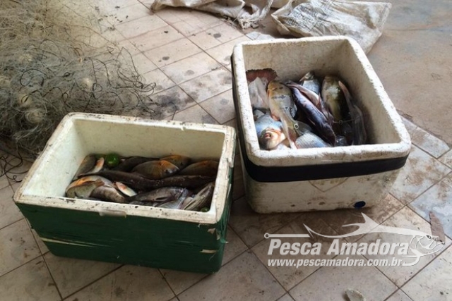 PMA apreende redes de pesca, arpão e 45 kg de pescado ilegal no AP