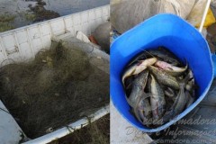 PMA apreende redes de pesca e pescado na represa de Chavantes 2