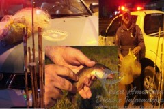 PMA apreende redes de pesca em Marilia-SP