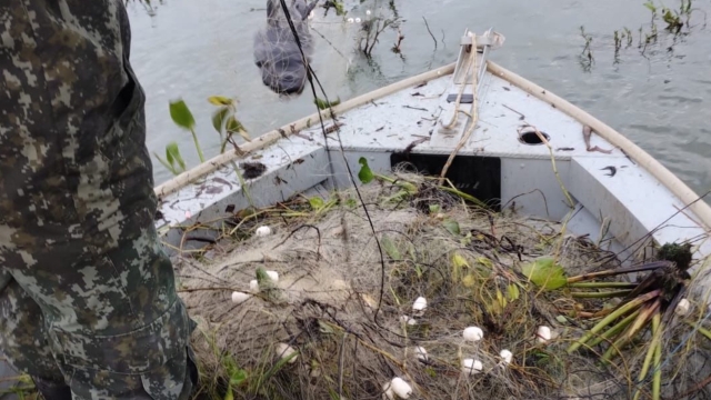 PMA apreende redes de pesca ilegais e pescados diversos no Rio Tietê em Nova Horizonte (SP)