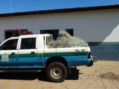 Policial ambiental retira rede do rio Paraná, em Bataguassu (Foto: Divulgação/PMA)