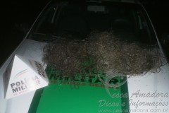 PMA apreende redes de pesca no Rio Doce em Minas Gerais