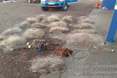 PMA apreende redes de pesca no Rio Parana no estado de MS