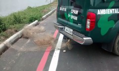 PMA apreende redes de pesca upam em marica-rj 2