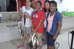 PMA apreende redes durante fiscalizacao em Palmas-TO 2