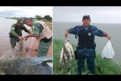 PMA apreende redes durante fiscalizacao em Palmas-TO