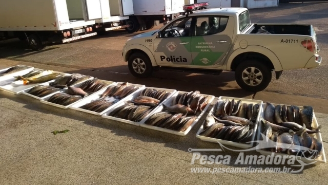 PMA apreende redes e 125 kg de pescado ilegal no Rio Mogi Guaçu em Pirassununga (SP)