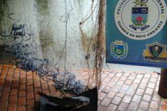 pma-apreende-redes-e-pescado-apos-denuncias-de-pesca-predatoria-no-rio-miranda-ms
