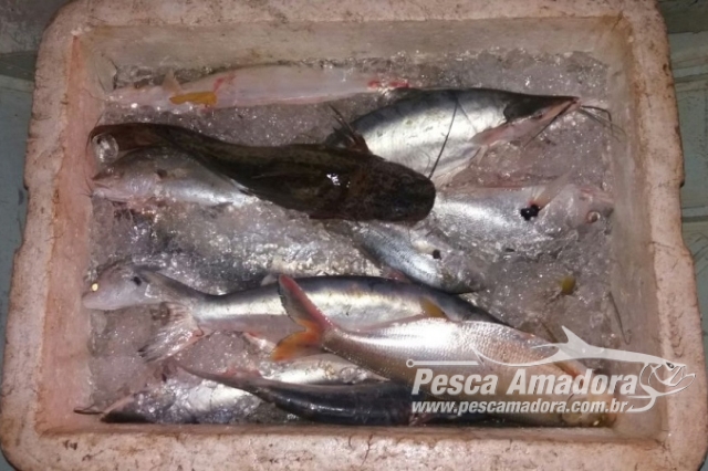PMA apreende redes e pescado ilegal no lago da Usina Hidrelétrica de Lajeado-TO