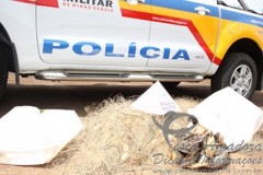 PMA apreende redes e pescado no Rio Grande em MG