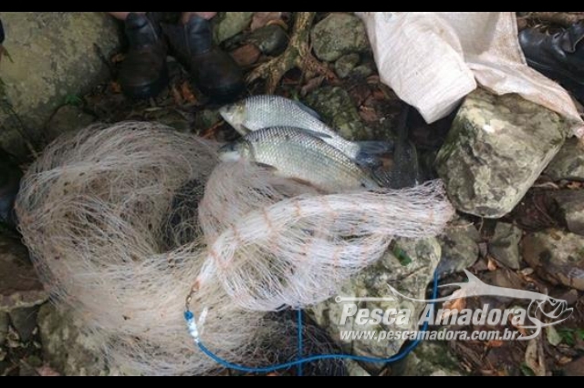 PMA apreende redes e prende dois por pesca predatória no Rio Ivaí-PR