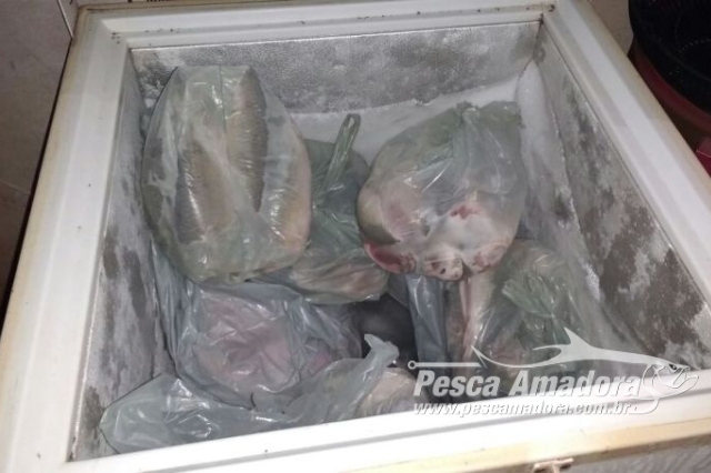 PMA apreende redes e prende infrator por pesca ilegal em Sertanópolis-PR