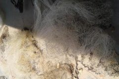 pma-apreende-redes-e-tarrafas-usadas-na-pesca-predatoria-no-rio-cuiaba-mt