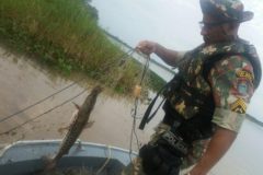 pma-apreende-redes-espinheis-anzois-de-galho-e-liberta-30-kg-de-pescado-no-rio-parana-ms