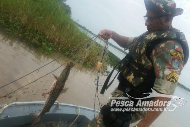 PMA apreende redes, espinheis, anzóis de galho e liberta 30 kg de pescado no Rio Paraná-MS