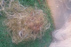 pma-apreende-redes-pescado-ilegal-e-prende-homem-por-pesca-predatoria-em-mt-2