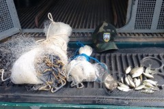 PMA apreende tarrafa em cachoeira em Sao Mateus-ES