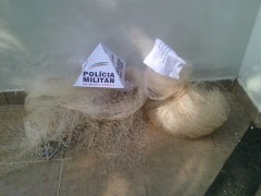 PMA apreende tarrafas e pescado ilegal no Rio Suacui Grande em MG