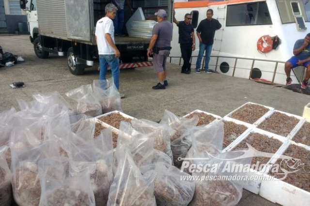 PMA apreende uma tonelada de camarão e multa embarcação em R$ 85 Mil em Santos (SP)