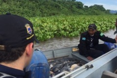 PMA apreendem 130 kg de pescado capturados irregularmente em MS