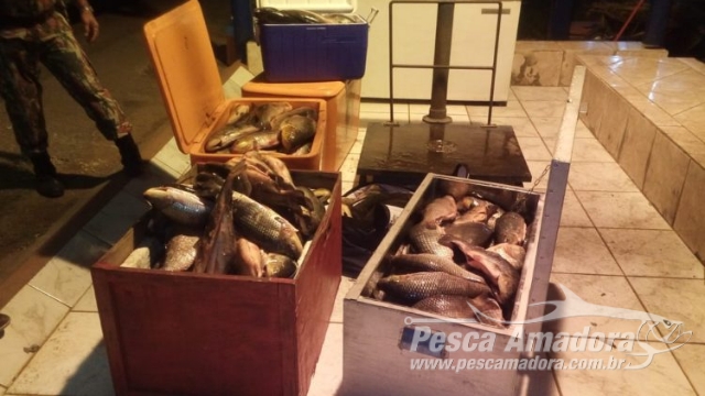 PMA autua 15 turistas por transportar 388 kg de pescado ilegal na BR 262 em Anastácio (MS)