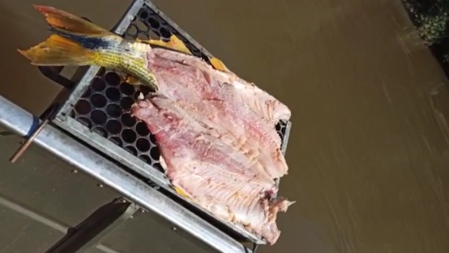 PMA autua comerciante por postar em rede social vídeo de dourado abatido em Amambai (MS)