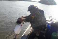 PMA autua dois por pesca ilegal apreende 300 m de redes e 110 anzois de galho no MS