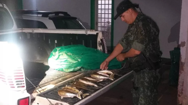 PMA autua dois por pesca ilegal no Rio Aguapeí em Lucélia (SP)