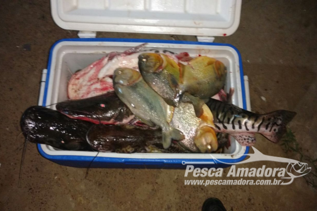 PMA autua dois por pesca predatória e apreende 38 kg de pescado no Rio Paraguai (MS)