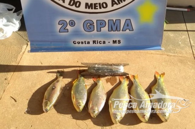 PMA autua duas pessoas em R$ 1,6 por pesca ilegal em Costa Rica-MS