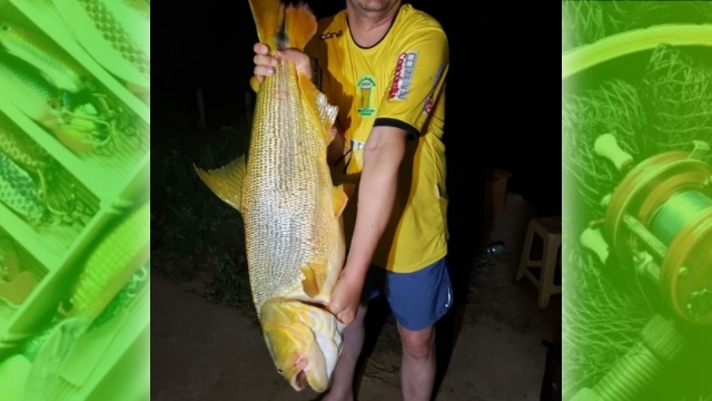 PMA autua em R$ 3.900 empresário que exibiu espécies protegidas nas redes sociais