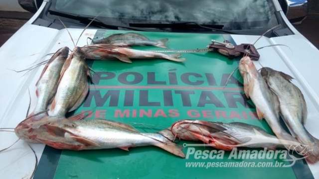 PMA autua infrator em R$ 1.700 por abater 4 kg de pescado abaixo da medida em Ipiaçu (MG)