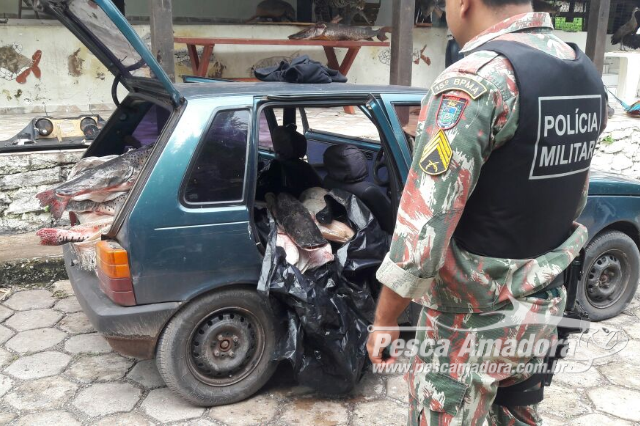 PMA autua infratores em R$ 12 mil com 255 kg de pescado capturados no Rio Paraguai (MS)