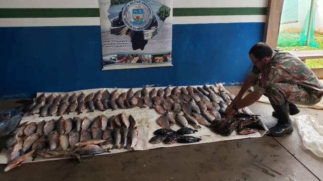 PMA autua infratores em R$ 3,7 mil transportando 64 kg de pescado ilegal do rio Amambai (MS)