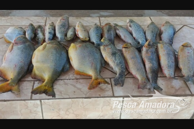 PMA autua infratores em mais de R$ 3.000 Mil por pesca ilegal em MS