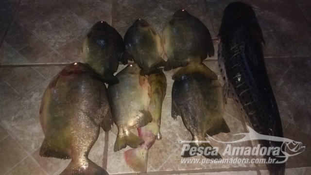 PMA autua infratores por pesca ilegal no Rio Paraguai (MS)