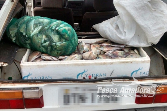 PMA autua mulher em R$ 4 mil e apreende 70 kg de pescado ilegal no Rio Tietê-SP