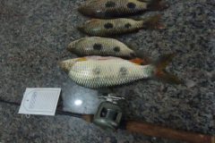 pma-autua-pescador-amador-por-falta-de-licenca-ambiental-em-ms